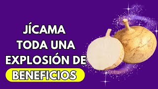 Descubriendo Los Maravillosos Beneficios De La Jícama 🔶 Propiedades De La Jicama🔶 Otros Nombres [upl. by Pammy979]