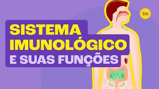 Como funciona o SISTEMA IMUNOLÓGICO Resumão [upl. by Aniryt]