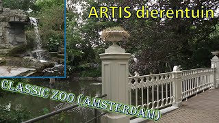 KLASSIEKE DIERENTUIN  ARTIS Amsterdam Review [upl. by Dymoke729]