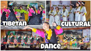 Tibetan Culture Dance  STS Kollegal  Tibetan YouTuber  Tibetan Vlogger [upl. by Neyugn]