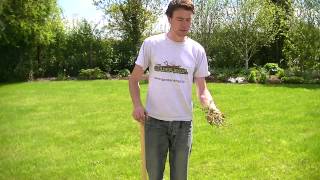 Granpas Weeder Weed Removal Tool [upl. by Moira507]