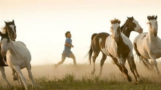 Running with Wild Horses [upl. by Simeon]