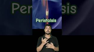 What is peristalsis [upl. by Yelsa]