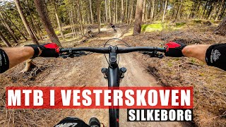 Vesterskoven MTB spor i Silkeborg  Alle de gode nedkørsler på mountainbike sporet [upl. by Koss]