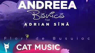 Andreea Banica feat Adrian Sina  Flori de Busuioc Animated Video [upl. by Grantley909]