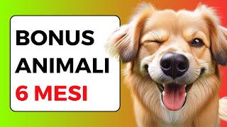 BONUS ANIMALI DOMESTICI in 6 mesi NOVITÀ 2024 [upl. by Vasta]