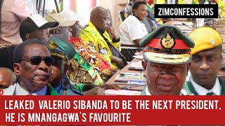 Leaked Valerio Sibanda To Be The Next President He Is Mnangagwas Favourite [upl. by Hoopen]