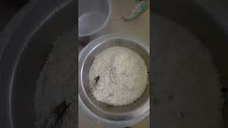 Preparing Boiled Rice by students [upl. by Slin]