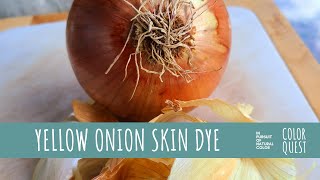 HOW TO MAKE NATURAL DYE WITH YELLOW ONION SKIN  ORGANIC COLOR  ORANGE [upl. by Ahsinak]