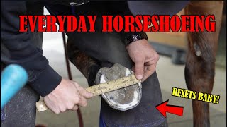 Everyday Horseshoeing Shoeing an Eventing Horse with Toe Clips [upl. by Hillari]