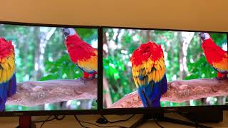 Aorus Ad27qd vs Monitor Msi optix g27c2 IPS Vs VA [upl. by Atsirk]