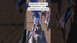 BREEDERS CUP 2024 MARTIN GARCIACITIZEN BULL GANA JUVENILE MANUEL FRANCOIMMERSIVE GANA J FILLIES [upl. by Anitteb746]