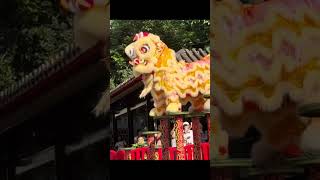 Lion dance performance [upl. by Vassell682]