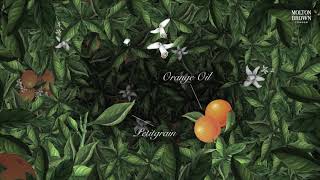 Ingredient Film Orange amp Bergamot  Molton Brown [upl. by Glad]