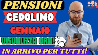 PENSIONI CEDOLINO GENNAIO 2024 ARRIVATO CONTROLLA GLI AUMENTI ORA [upl. by Naneek]