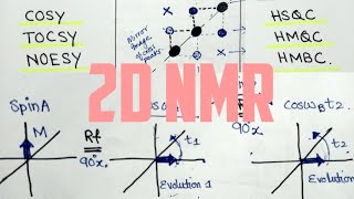 2DNMR WorkingCorrelation SpectroscopyCOSYNOESY MajidAli2020 [upl. by Nwahser]