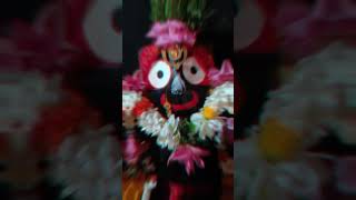 To chaka akhire jebejagannath status short videoJay jagannatha [upl. by Bord]