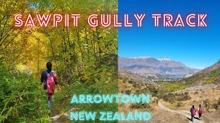 SAWPIT GULLY TRACKAUTUMN 🍁🍂WALK ARROWTOWN NZ [upl. by Halludba]