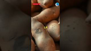 La patate douce  super  légume [upl. by Becker894]