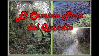 Camino Paso del Quindío [upl. by Meibers]