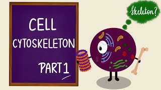 Cell Cytoskeleton  Part 1  Microtubules  Cilia  Cell Biology  Cell Physiology [upl. by Rahman]