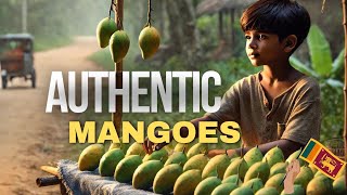 ✨Village Boy’s Mango Stand 🍃  Rural Charm 🇱🇰  Simple Life in Sri Lanka 🌞✨ [upl. by Graybill]