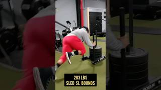 283 lbs HEAVY Single Leg Sled Bounds shorts fitness [upl. by Eirak]