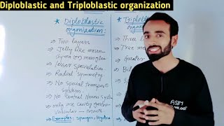 Diploblastic organization and Triploblastic organization  Difference  AsimZoologist [upl. by Melania]