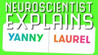 Neuroscientist Breaks Down Yanny vs Laurel Auditory Illusion [upl. by Redyr]