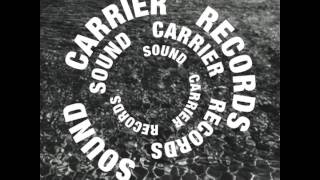 SOUND CARRIER 11 [upl. by Arocahs217]