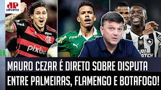 quotEU PENSO DIFERENTE Pra mim Palmeiras e Botafogoquot Mauro Cezar ANALISA DISPUTA com o Flamengo [upl. by Assetnoc684]