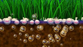 Boost Fertilizer Performance with Kimleigh Chemicals SAs Urease and Nitrification Inhibitors [upl. by Zirkle]