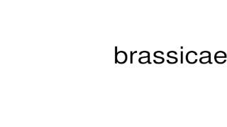 How to pronounce brassicae [upl. by Arramas983]