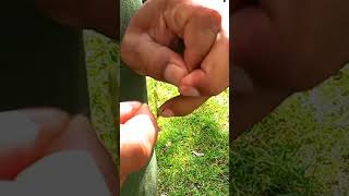 artisanal fishing line tip for you and everyone🎣 survival experiment fishing tipps bushcraft [upl. by O'Callaghan634]