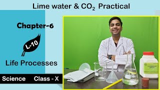 L10 Lime Water and Carbon Dioxide Practical  Life Processes  Chapter  6  10th NCERT [upl. by Amalburga]