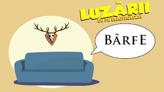 Bârfe  Luzarii de pe Electrolizei 20 [upl. by Zorina]