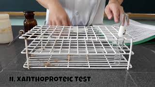 7a  CHEM 104A  Activity 7 Color Reactions of Proteins [upl. by Ihpen]