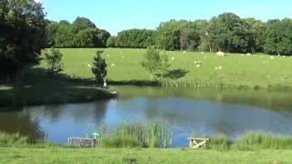 Tenterden Trout Fishery [upl. by Noelyn]