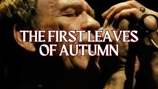 The First Leaves Of Autumn │ Finbar Furey [upl. by Lleuqar]