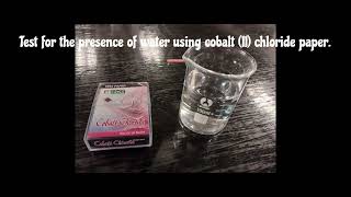 Testing of water using cobalt II chloride paper [upl. by Meer784]