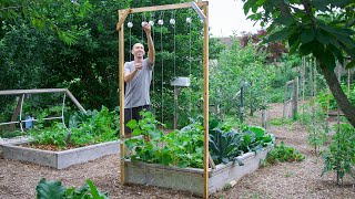 How to Build a Cucumber Trellis Using Only ONE PIECE of WOOD CHEAP and EASY Backyard Gardening [upl. by Nortad424]