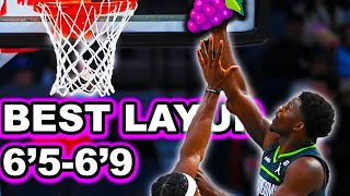 Best Layup For 6569 Guards NBA 2K24 [upl. by Aivlis]