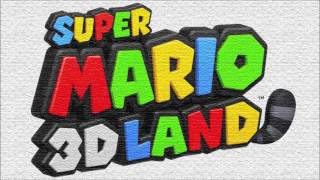 Special World 8  Super Mario 3D Land [upl. by Aynotan988]