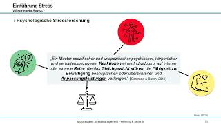 Video 2 Biologische und psychologische Stresstheorien [upl. by Anivla]