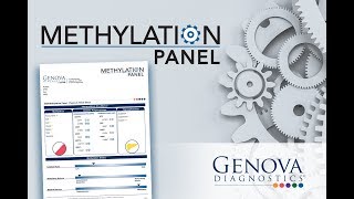 Introduction to Genova Diagnostics Methylation Panel [upl. by Ohce]