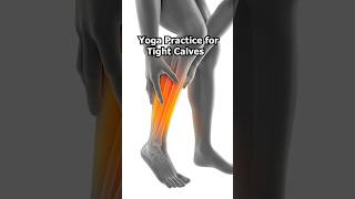 Yoga for Calves and Shins  10 Minute Yoga Stretches and Massage for Tight Lower Legs and Ankles [upl. by Aryamoy]