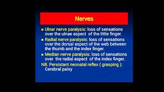 pediatric general examination XIIIIupper limbs [upl. by Babette]