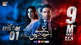 Aye Ishq e Junoon Episode 1  Ushna Shah  Sheheryar Munawar  11th Nov 2024 Eng Sub  ARY Digital [upl. by Lauer]