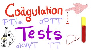 Coagulation Tests  PT aPTT TT Fibrinogen Mixing Studies [upl. by Ohploda727]