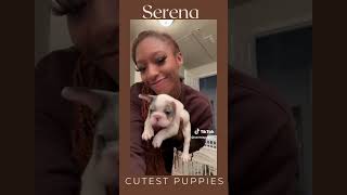 Love Island USAs Serena Takes on the CUTEST Frenchies Ever [upl. by Merat910]